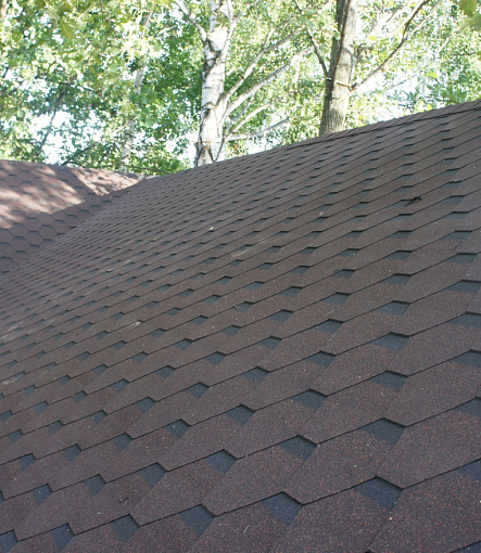 Битумная черепица, Серия Premium, Коллекция Кёльн, Цвет Корица - 12