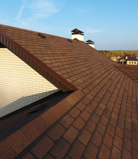 Битумная черепица, Серия Premium, Коллекция Женева, Цвет Арахис - 4