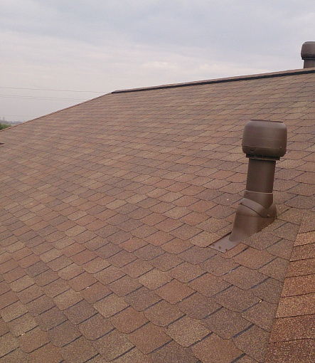 Битумная черепица, Серия Premium, Коллекция Цюрих, Цвет Арахис - 4