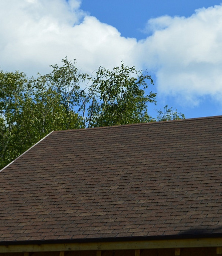 Битумная черепица, Серия Premium, Коллекция Цюрих, Цвет Изюм - 4